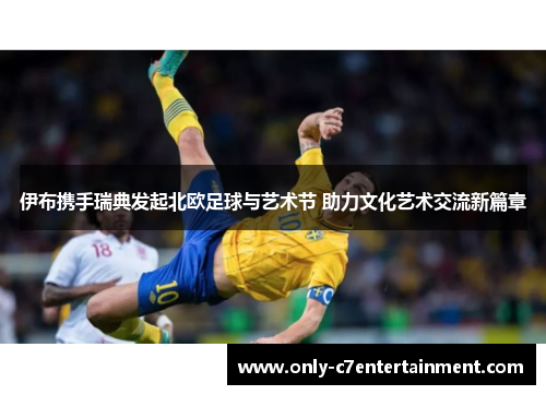 伊布携手瑞典发起北欧足球与艺术节 助力文化艺术交流新篇章