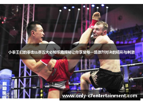 小拳王们的拳击比赛五大必知乐趣揭秘让你享受每一场激烈对决的精彩与刺激