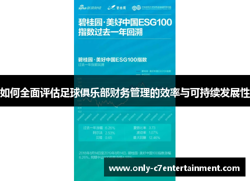 如何全面评估足球俱乐部财务管理的效率与可持续发展性