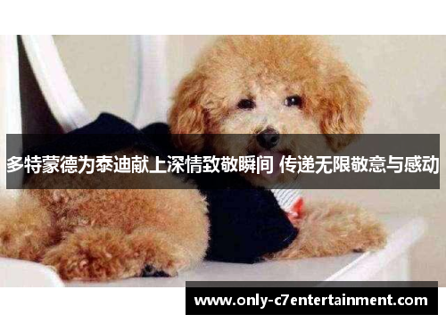 多特蒙德为泰迪献上深情致敬瞬间 传递无限敬意与感动