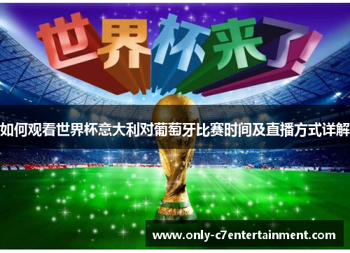如何观看世界杯意大利对葡萄牙比赛时间及直播方式详解