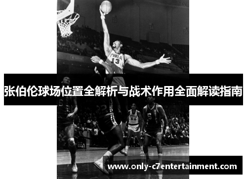 张伯伦球场位置全解析与战术作用全面解读指南