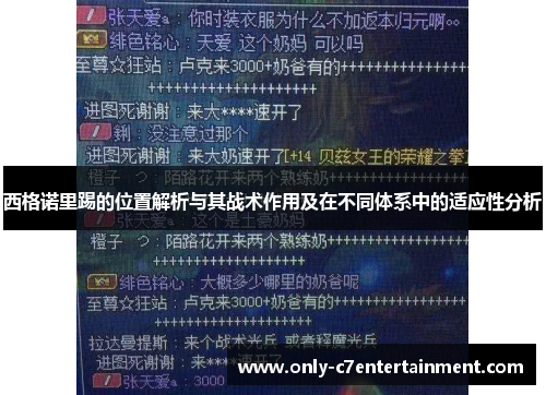 西格诺里踢的位置解析与其战术作用及在不同体系中的适应性分析