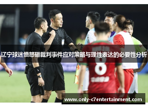 辽宁球迷愤怒砸裁判事件应对策略与理性表达的必要性分析