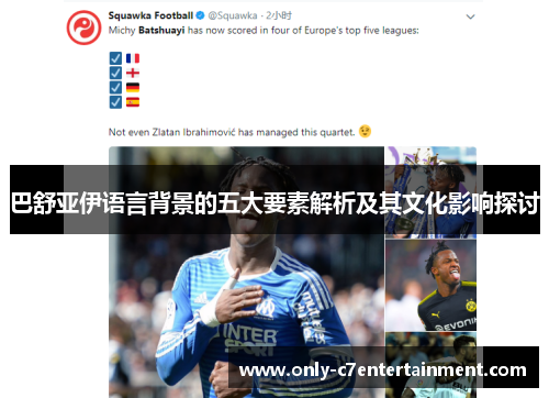 巴舒亚伊语言背景的五大要素解析及其文化影响探讨