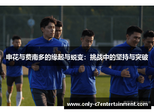 申花与费南多的缘起与蜕变：挑战中的坚持与突破